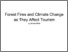 [thumbnail of Ahmad Redi - Forest Fires and Climate Change as They Affect Tourism.pdf]