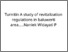 [thumbnail of Turnitin A study of revitalization regulations in baluwerti area.....Naniek Widayati P(2).pdf]