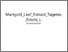 [thumbnail of Marigold_Leaf_Extract_Tagetes_Erecta_L..pdf]